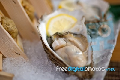 Japanese Style Oyster And Sea Urchin Stock Photo