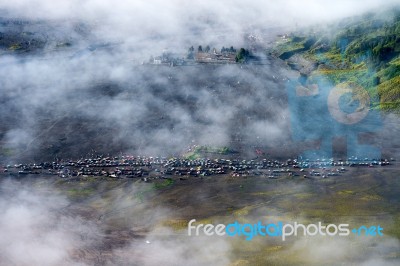 Jeep In Bromo. (top View) Indonesia Stock Photo