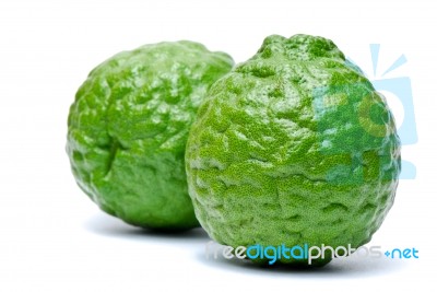 Kaffir Lime Stock Photo