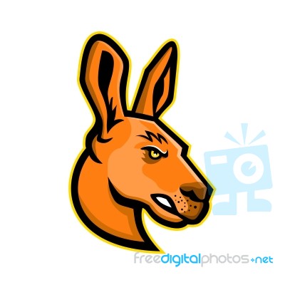 Kangaroo Head Mascot Stock Image