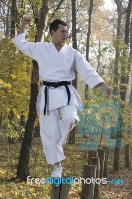Karate In Forestry Stock Photo