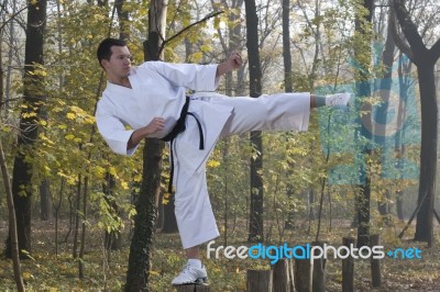 Karate In Forestry Stock Photo