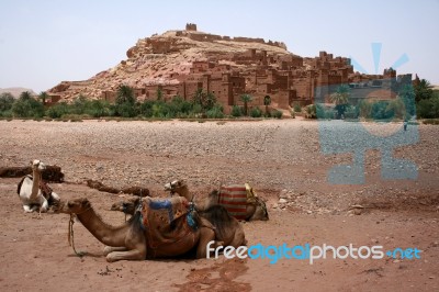Kasbah Ait Benhaddou Stock Photo