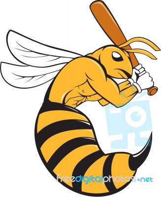 Killer Bee Baseball Player Bat Cartoon Stock Image