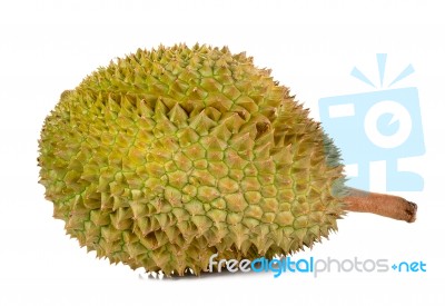 King Of Fruits, Durian Isolated On White Background Stock Photo