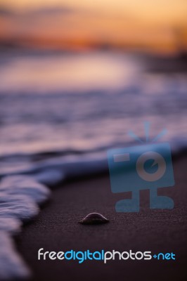 Kings Beach In The Sunshine Coast, Queensland Stock Photo