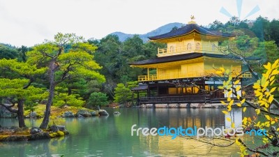 Kinkakuji Temple (the Golden Pavilion) In Kyoto, Japan Stock Photo