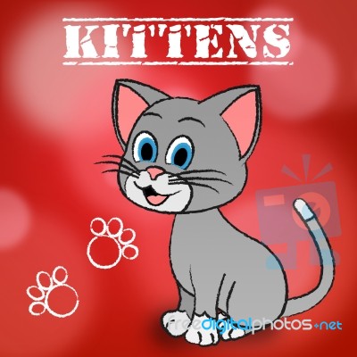 Kittens Word Indicates Domestic Cat And Cats Stock Image