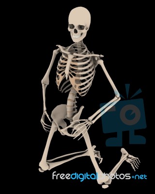 Kneeling Skeleton Stock Image