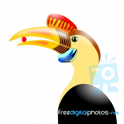 Knobbed Hornbill Stock Image