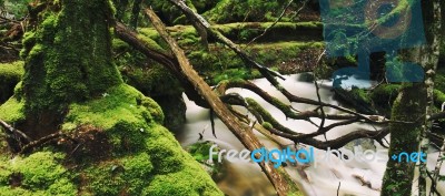 Knyvet Falls In Cradle Mountain Stock Photo