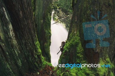 Knyvet Falls In Cradle Mountain Stock Photo