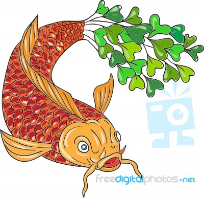 Koi Nishikigoi Carp Fish Microgreen Tail Drawing Stock Image