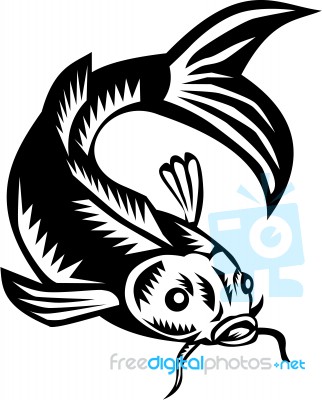 Koi Nishikigoi Carp Fish Woodcut Stock Image