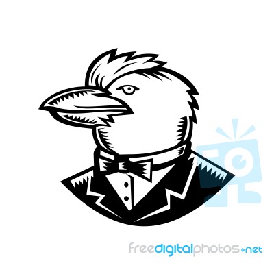 Kookaburra Wearing Tuxedo Woodcut Black And White Stock Image