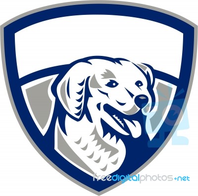 Kuvasz Dog Head Crest Retro Stock Image