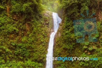 La Paz, The Peace, Waterfall In Central Costa Rica Stock Photo