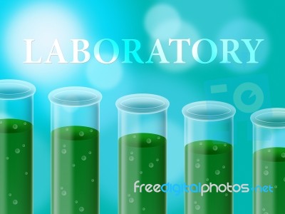 Laboratory Experiment Represents Analysis Examine And Assessment… Stock Image