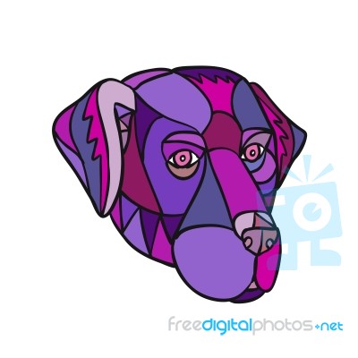 Labrador Retriever Dog Head Mosaic Color Stock Image