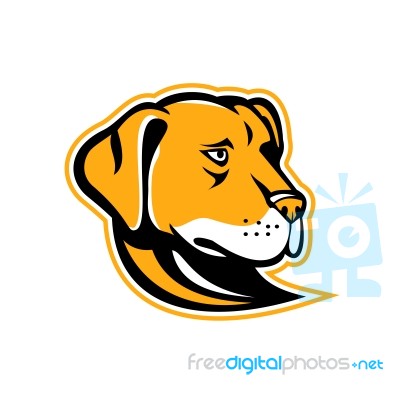 Labrador Retriever Dog Mascot Stock Image