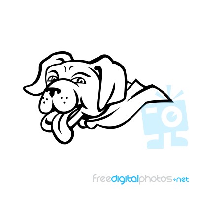 Labrador Retriever Dog Wearing Cape Mascot Stock Image