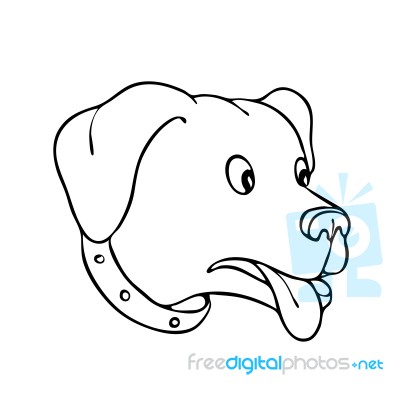 Labrador Retriever Surprised Drawing Stock Image