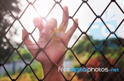 Lady Or Girl Hand Catching Iron Bar With Lens Flare, Imprison Or… Stock Photo