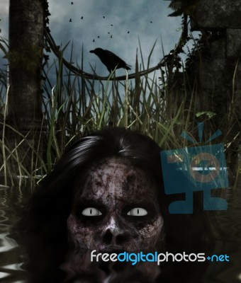 Lady Zombie In The Water,3d Mixed Media For Book Illustration Stock Image