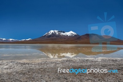 Laguna Canapa In Altiplano A Salt Lake, Bolivia Stock Photo