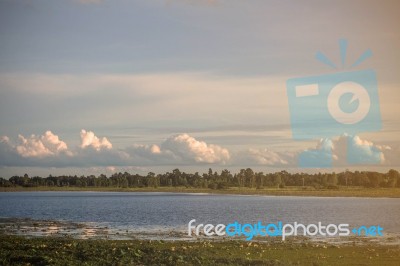 Lake In Nature Of The Countryside Stock Photo
