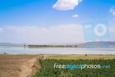 Lake Koka In Ethiopia Stock Photo