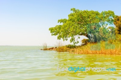 Lake Tana In Ethiopia Stock Photo