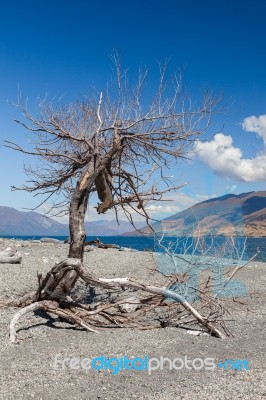 Lake Wanaka Stock Photo