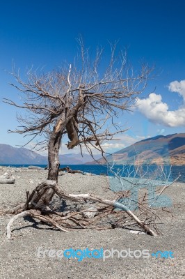 Lake Wanaka Stock Photo