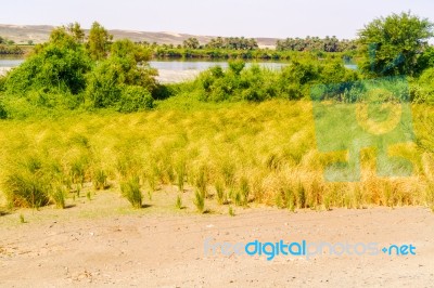 Landscape And The River Nile Suth Of Wadi Halfa In Sudan Stock Photo