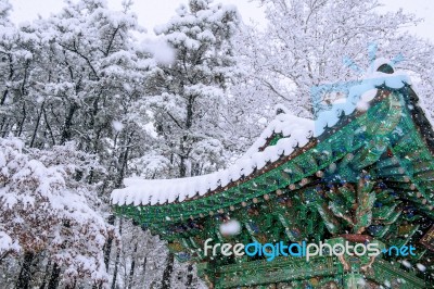 Landscape In Winter With Roof Of Gyeongbokgung And Falling Snow In Seoul,south Korea Stock Image
