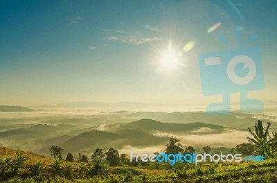 Landscape Of Mountain With The Clouds And Fog Stock Photo