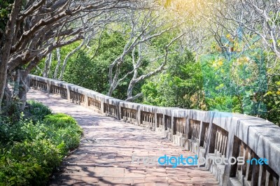 Landscape Of Tunnel Trees Way Walk Of Phra Nakhon Khiri Historic… Stock Photo