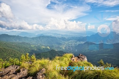 Landscape On Phu Chi Fa Forest Park Stock Photo