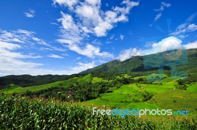 Landscape Village Terrace Rice Field Stock Photo