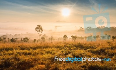 Lanscape Beautiful Sunrise Mountain And Foggy In Thailand Stock Photo