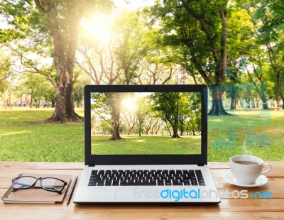 Laptop Computer And Coffee On Wood Workspace And Park Background… Stock Photo