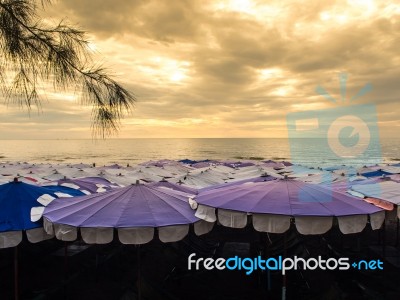 Large Umbrella Crowded Along The Beach Stock Photo