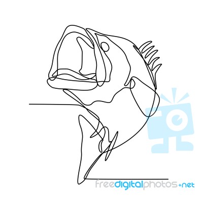 Largemouth Bass Jumping Continuous Line Stock Image