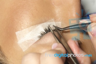 Lashes Extension Stock Photo