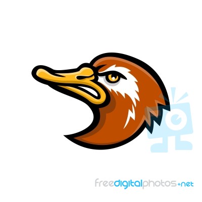 Laysan Duck Head Mascot Stock Image