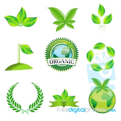 Leaf Icons Stock Image