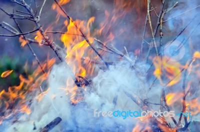 Leaves Burning Hazard Stock Photo Leaves Burning Hazard Stock Photo