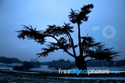 Leeds Castle Under Tree Stock Photo