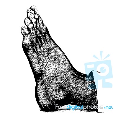 Left Human Foot Hand Drawn Stock Image